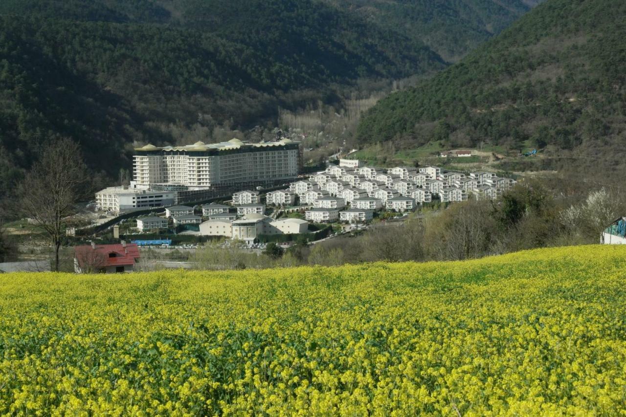 Sarot Thermal Vadi Tatil Koyu - Halal Hotel Болу Екстериор снимка